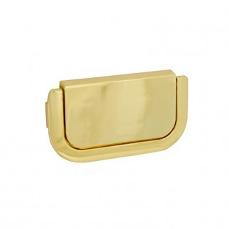 PLACA CON ASA LATONADA 4213X DiMani