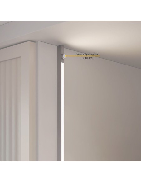 SENSOR/INTERRUPTOR MOVIMIENTO C/CABLE P/SUPERFICIE PYXIS 24V. PLATA 5227621 EMUCA